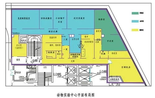 动物实验室规范标准与建设全流程要点解析